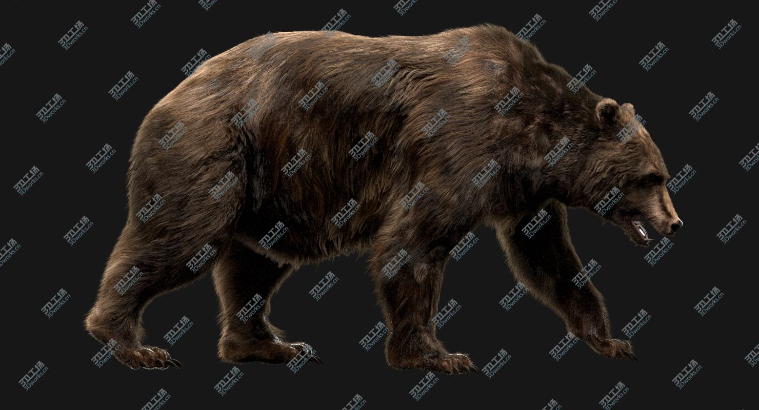 images/goods_img/202104022/Bear (Fur) (Rigged) 3D model/2.jpg